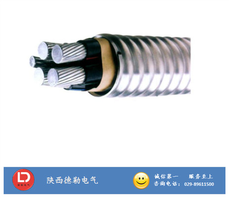 YJLHVS2（ACWU90) 護(hù)套鋁合金電力電纜｜陜西電線電纜廠｜西安電線電纜廠